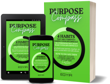 Purpose-Compass-Options